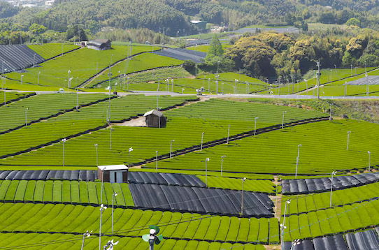 配、農(nóng)網(wǎng)解決方案